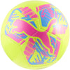 PUMA big cat ball